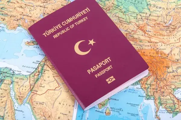 Home turkey passport photo size